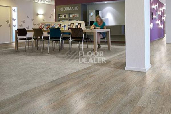 Линолеум Forbo Eternal Material 10032 fossil stucco фото 2 | FLOORDEALER